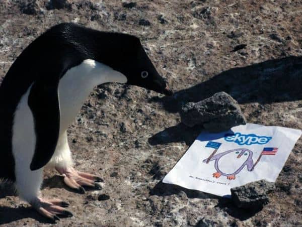 penguin-skype Teacher uses Skype to educate students about the penguins of Antarctica
